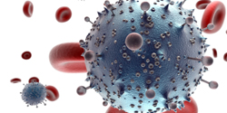 Virus Sanguíneos Inmunodeficiencia Humana VIH (SIDA)